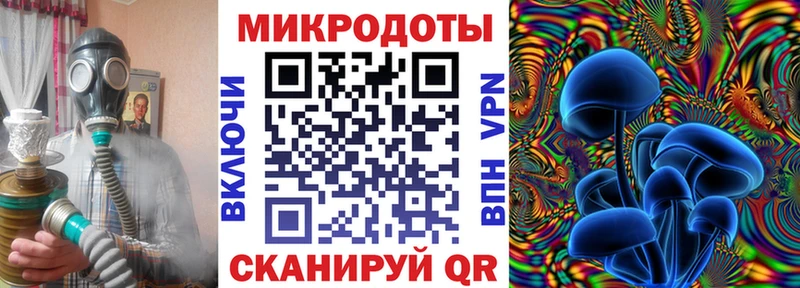 наркота  Воронеж  Галлюциногенные грибы Psilocybine cubensis 